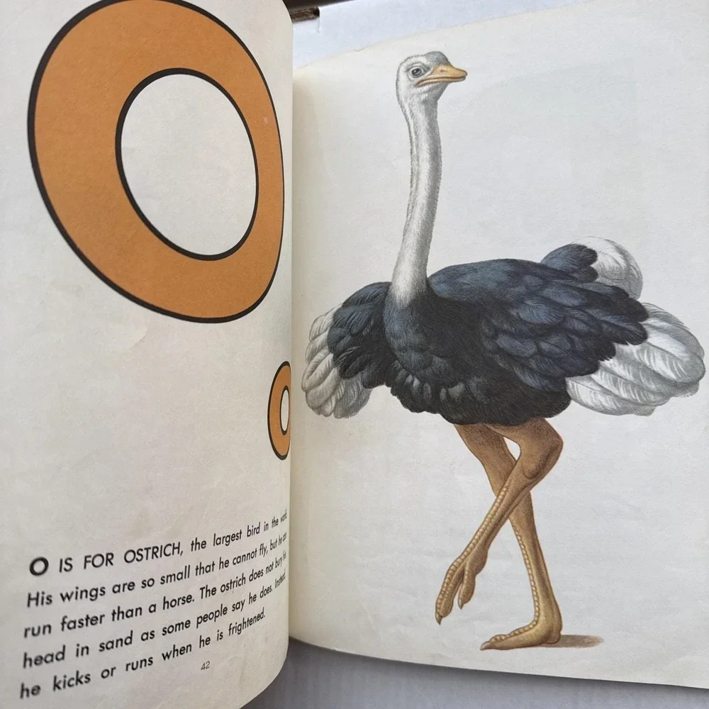 Vintage‎ First ABC: An Educational Picture Book Hardcover XL 9.5